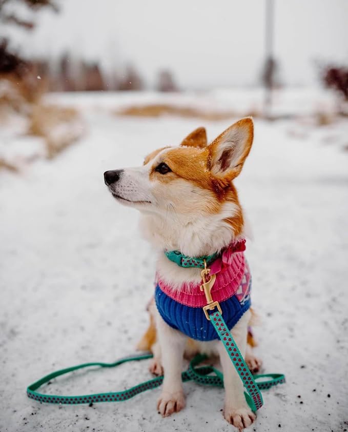 Blueberry Pet Valentine's Day Dog Leash, Velvety Soft-Touch Heart Flocking Lead for Small Dogs, Minty Green, 5 ft x 5/8"