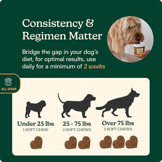 Reggie Daily Immunity Set for Dogs | Supports Healthy Gut, Immune System, and Nutrient Absorption | Made in The USA, Vet-Approved, & Ideal for All Ages, Breeds, and Sizes