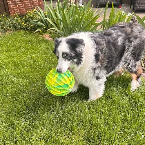 KONG FlexBall Interactive Fetch Toy, Floats in Water, for X-Large Dogs | Durable Interactive Fetch Ball with Easy-Grip Ridges That Floats in Water, Built for Long Outdoor Play
