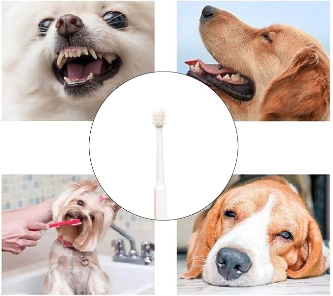 360Degree Dog Toothbrush Puppy Toothbrush Cat Toothbrush Dog Hygienes Pet Toothbrush Dog Round Toothbrush Dog Teether Cat Toothbrush