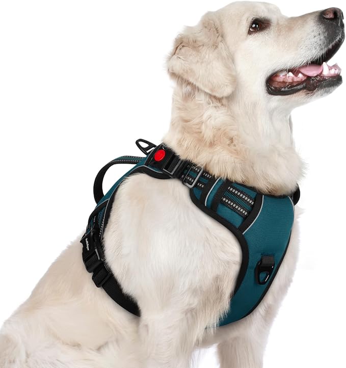 rabbitgoo Large Dog Harness, Easy Wear with 3 Buckles and Lift Handle | No Pull with Front Clip for Walking, Adjustable Soft Padded, Reflective, Easy Control, Green, Large