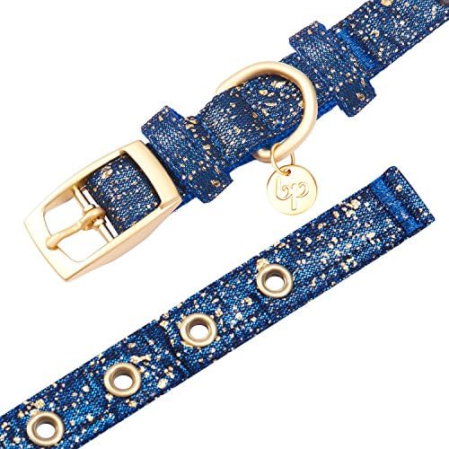 Blueberry Pet Gold Stamping Lace Adjustable Dog Collar in Classy Navy, Neck 9-12.5", for Small Breed