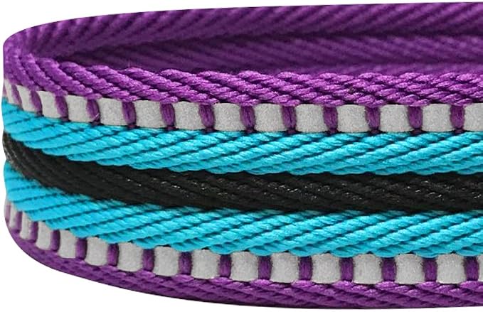 Blueberry Pet Dog Leash Puppy Essentials - 3M Reflective Adjustable Dog Seat Belt for Car, 1-Inch Width, 16.5-25.5 Inch, Violet & River Blue - Safety Tether for Secure Pet Travel