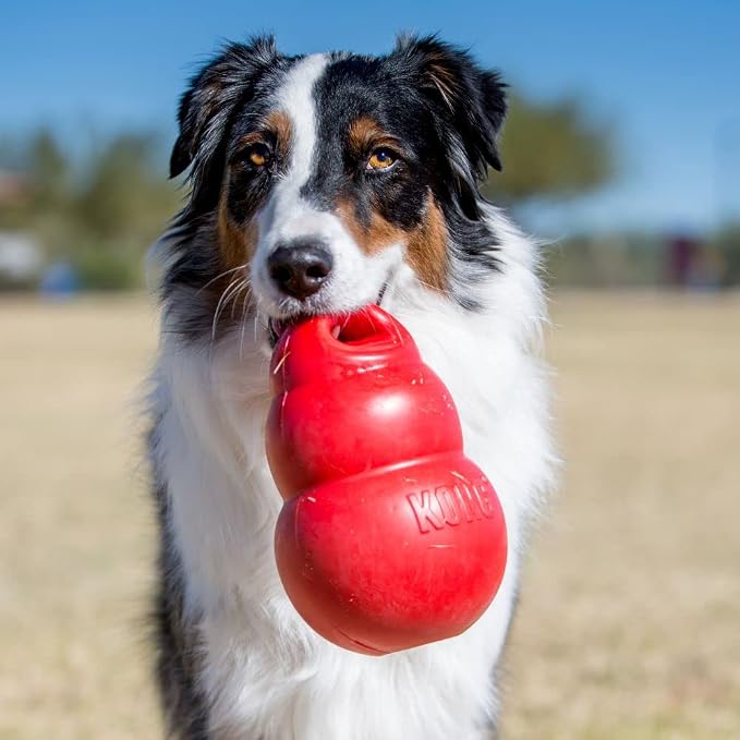 KONG Bounzer, Lightweight Rubber Fetch and Retrieve Toy, for X-Large Dogs | Lightweight Oversized Classic-Shaped Rubber Toy with a Top Handle, Bounces Back for Fetch & Retrieve