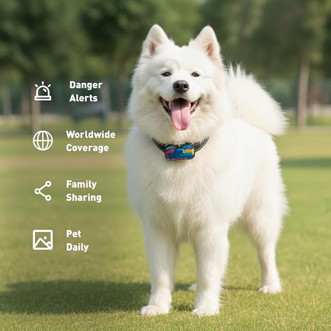 4G GPS Dog Tracker, No Monthly Fee, Virtual Fence, Waterproof, 21D Battery | Real-Time GPS Tracking, 12-Month Membership Included, Activity & Sleep Monitor, Long Battery Life, iOS & Android Compatible