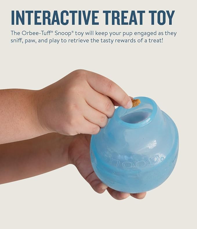 Chew King Premium Treat Dog Toy (XL, Pack of 2) and Planet Dog Orbee-Tuff Snoop Interactive Treat Dispensing Dog Toy (Large, Blue)