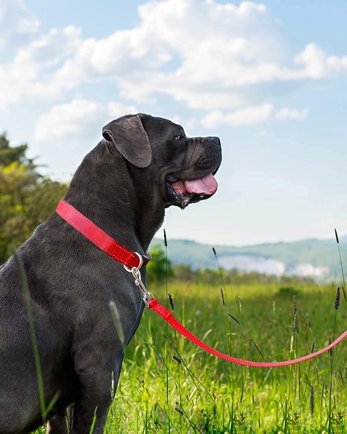 Joytale 6FT×1'' Dog Leash and Dog Collar (16-24"), Reflective Soft Neoprene Padded Pet Collars and Leashes for Large Dog, Red