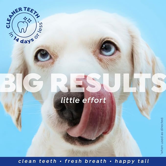Naturel Promise Fresh Dental Water Additive for Dogs 2-Pack, 18oz Each — Dog Breath Freshener & Teeth Cleaning Solution, Better Value for Daily Use