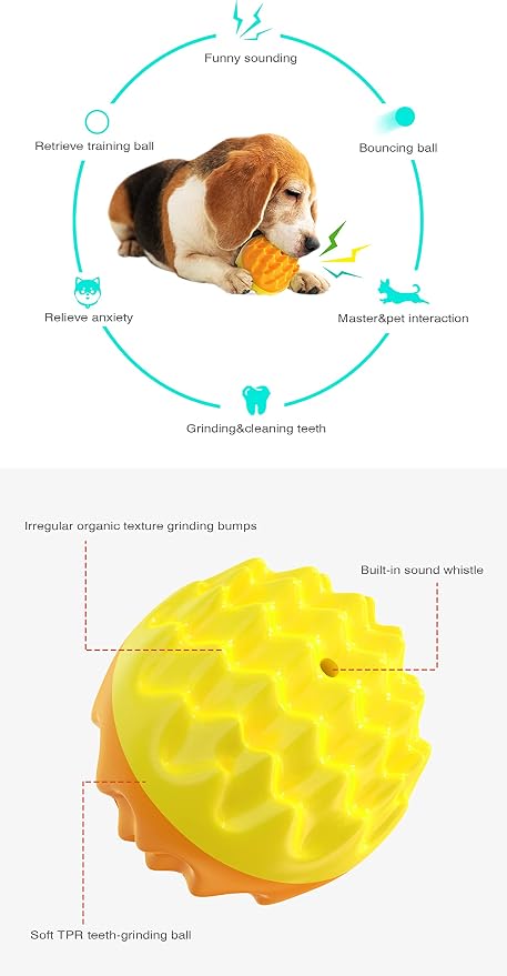 Raynier Squeaky Dog Balls for Dogs, Dog Toys for Aggressive Chewers Small and Medium Breed for Relieving Anxiety, Durable Anti-Stress Dog Ball, Outdoor Dog Toys, Water Toy for Dogs