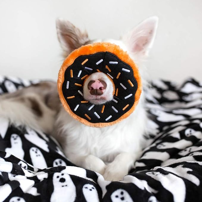 ZippyPaws Donutz for Small and Medium Dogs - Pumpkin Spice Donut | No Stuffing Dog Toys to Keep Them Busy, Squeaky Pet Toy for Boredom, Unstuffed Chew Toy, Soft Plush Puppy Products