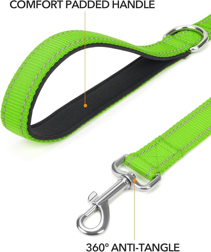 Taglory Reflective Dog Leash for Medium Large Dogs, 1in x 5ft, Neon Green | Ideal for Night Walking, Strong for Sudden Pulls, Lightweight & Gentle on the Neck, Soft Padded Handle