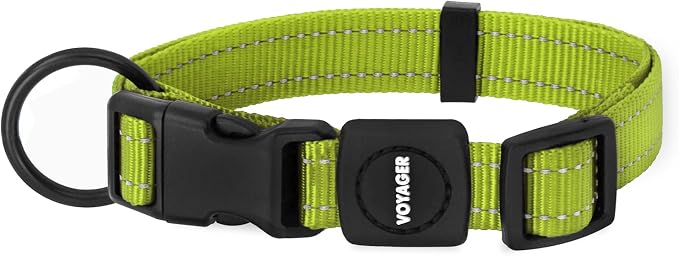 Best Pet Supplies Voyager Reflective Dog Leash or Collar with Neoprene Handle, for Small, Medium, and Large Breed Puppies, Cute and Heavy Duty for Walking, Running and Training - Lime Green, S