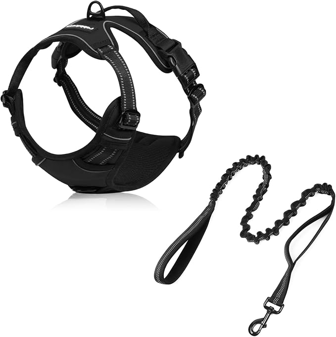 rabbitgoo Dog Harness with 5.2FT Tactical Bungee Leash, No Pull Adjustable Soft Padded, Reflective Oxford No Choke Pet Vest with Easy Control Handle for Large Dogs