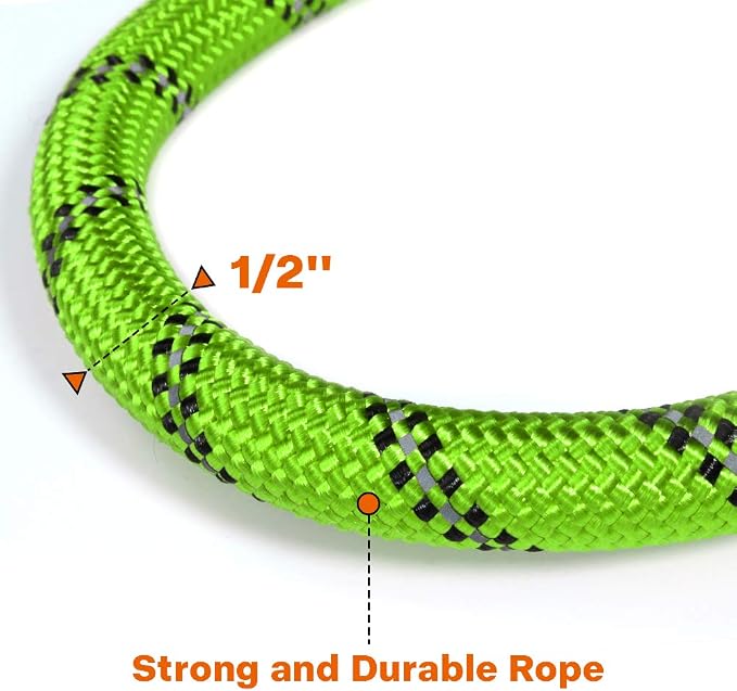 Taglory Rope Dog Leash for Medium Large Dogs, 5 FT Padded Handle, Green | Climbing Rope for Strong Pullers, Reflective for Night Walks and Training, Comfortable Grip, Anti-tangle Swivel Clip 1/2 inch