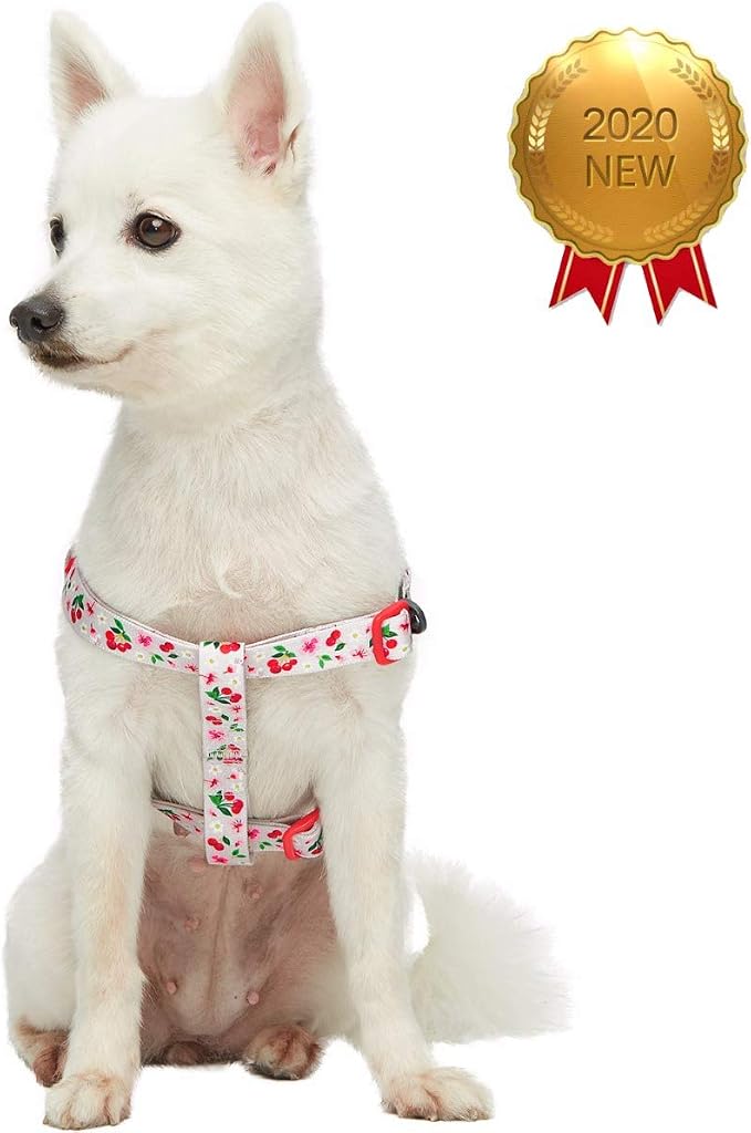 Blueberry Pet 9 Patterns Step-in Cherry Garden Grey Dog Harness, Chest Girth 20" - 26", Medium, Adjustable Harnesses for Dogs