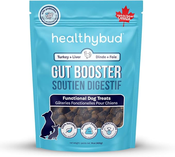 Healthybud Dog Probiotic Chews – Digestive & Gut Health Support – Prebiotic, Fiber, Pumpkin & Sweet Potato – Stool Hardener & Sensitive Stomach Relief – Made in Canada (14.1oz)