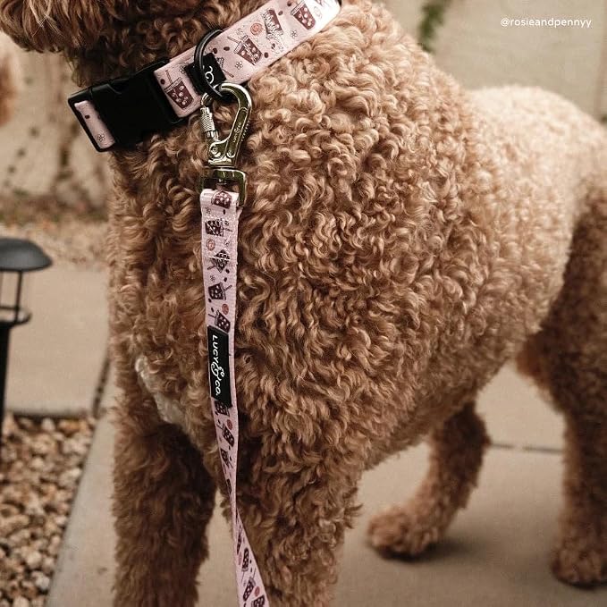 Lucy & Co. - Designer Dog Leash Comfortable Leash Training Product w/Adjustable Chest & Neck Straps - (Large, Tan White Coffee)
