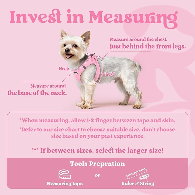 rabbitgoo Step-in Small Dog Harness, Puppy Vest for Small Sized Pet | Easy Put on and off, Lightweight, Soft, Breathable Quick-Dry Air Mesh for Comfortable Secure Walking, Light Pink M