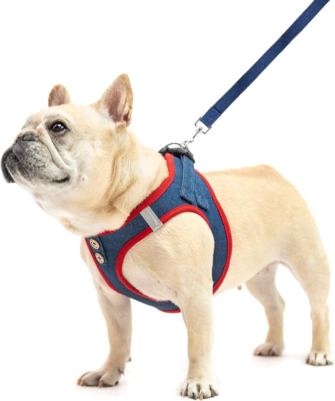 PUPTECK Dog Harness and Leash Set for Small Medium Dogs No Pull Step-in Soft Mesh Puppy Cat Vest Harnesses Reflective at Night, Denim NavyBlue XS
