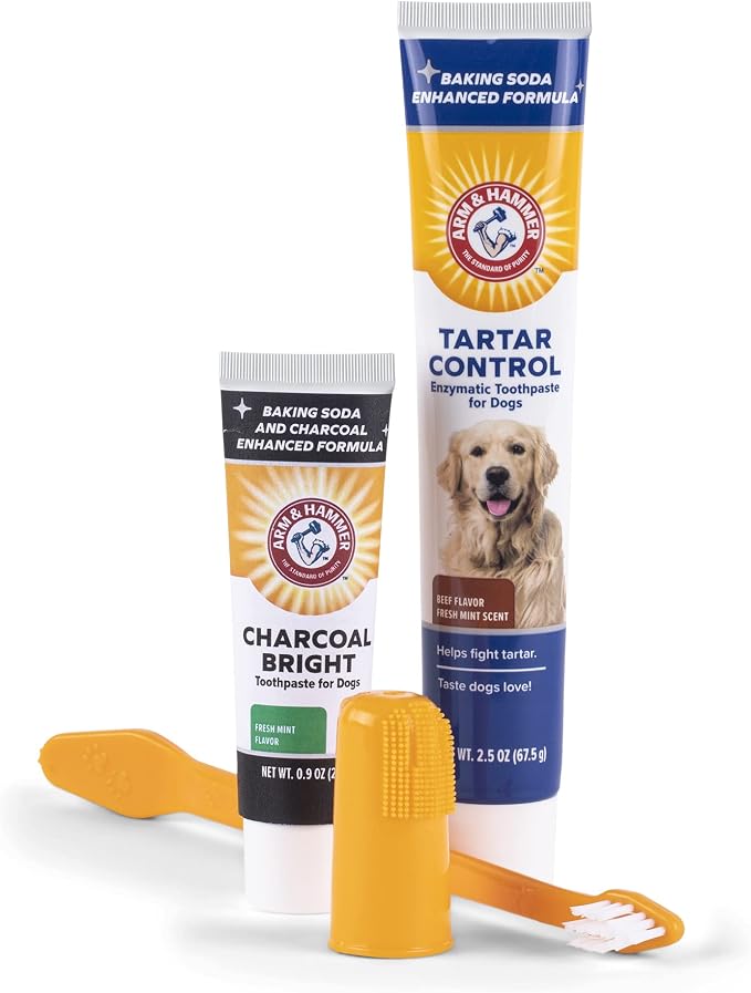 Arm & Hammer Tartar Control Dental Kit for Dogs, with Bonus Charcoal Bright 0.84oz Sample Tube - Dog Toothbrush Dental Kit from Arm & Hammer - 4 Piece Dog Toothbrush Kit, 2.5 Ounce