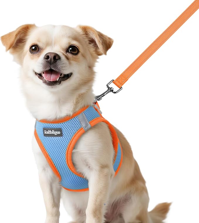rabbitgoo Dog Harness Small Sized and Leash Set, Step in Soft Vest | Breathable Mesh, Easy Wear with Hook & Loop, Light and Reflective for Walking, Multi-colored, Blue & Orange, XXS