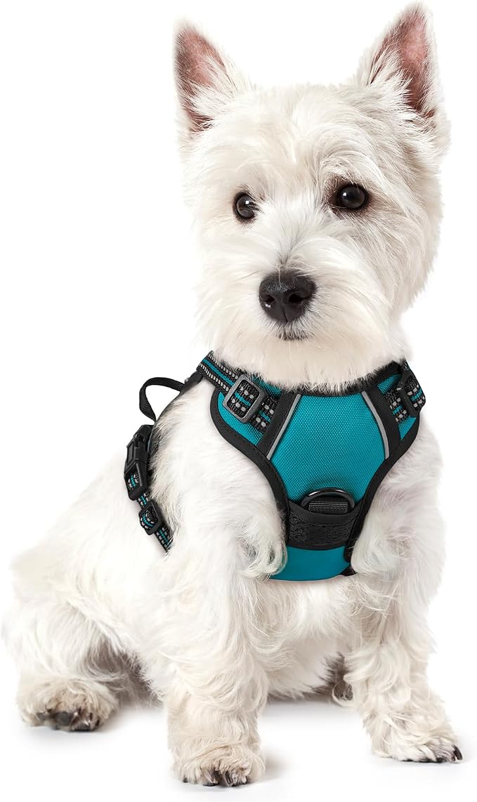rabbitgoo Dog Harness No Pull with 2 Leash Clips, Adjustable Soft Padded, Reflective Oxford No Choke Pet Vest with Easy Control Handle for Puppy, Teal, XS | No Choke with Handle, Adjustable Soft Padded, Reflective, Easy Control for Walking, Teal, X-Small