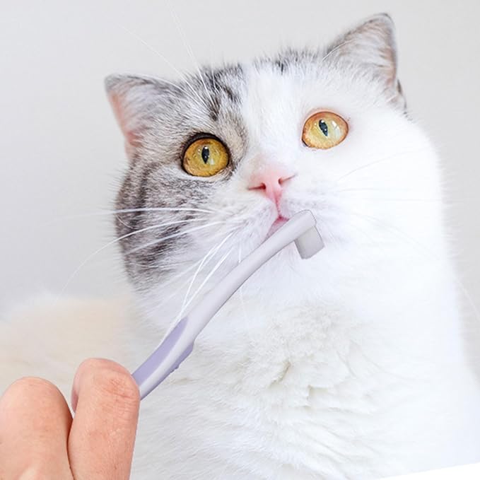 Soft Tooth Brush Small-Head Cleaning Pet Toothbrush Remove Bad Breath Tooth Brush Dog Care Mouth Clean Pet Cleaning Tool