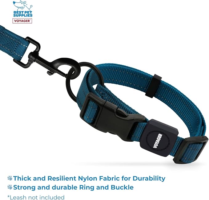 Best Pet Supplies Voyager Reflective Dog Leash or Collar with Neoprene Handle, for Small, Medium, and Large Breed Puppies, Cute and Heavy Duty for Walking, Running and Training - Blue, M