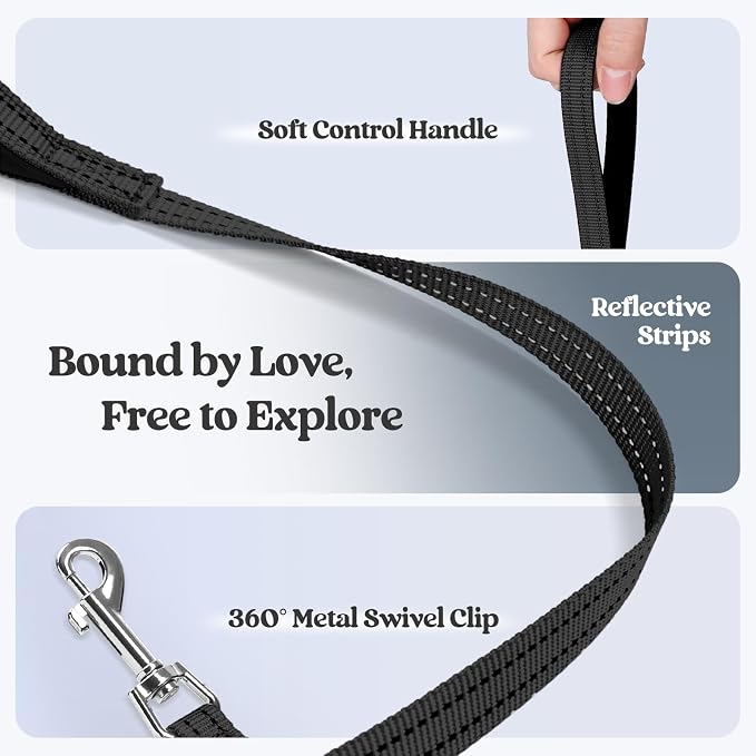rabbitgoo Dog Harness Medium Sized and Leash Set, Step-in Puppy Pet Vest | Light, Soft, Breathable Air Mesh, Easy on and Remove with Hook & Loop, Secure Reflective for Walking, Black XL