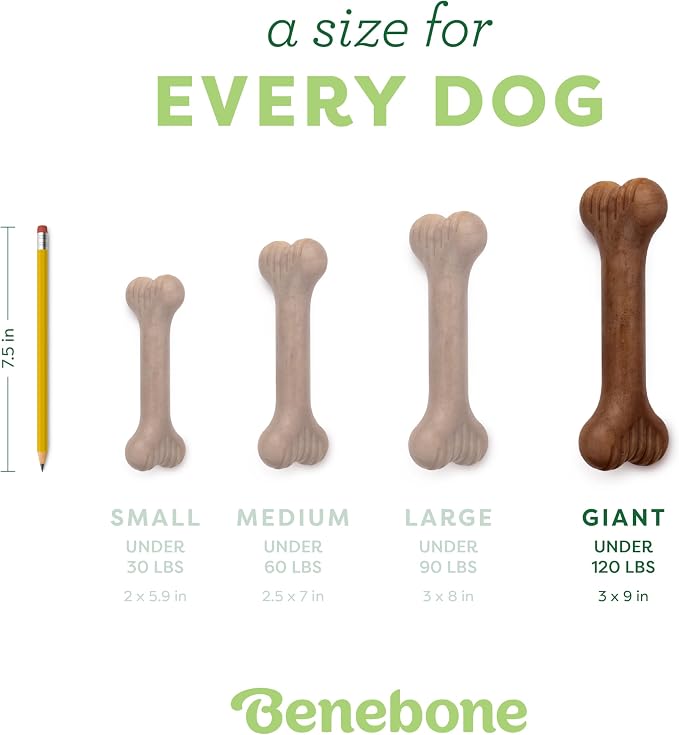 Benebone Bone Dog Chew Toy for Aggressive Chewers, Real Bacon, Giant | Durable, Super Chewer, Made in USA, Dog Bones, Long-Lasting, A Size for Every Dog, Keeps Them Busy