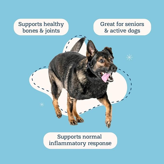 Alice & Eli Mobility Magic - Hip & Joint Supplement for Dogs - Supports Mobility with Chondroitin, Collagen, Hyaluronic Acid & Cat's Claw