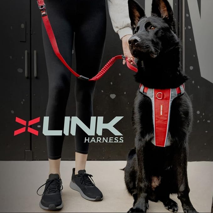EzyDog X-Link Dog Harness, No Pull Design with Front D-Ring - Small, Blue | Soft Padded Chest Panel, Adjustable, Fits Small or Large Dogs, Accessory Loop, 2 Leash Attachment Points, Reflective Trim,