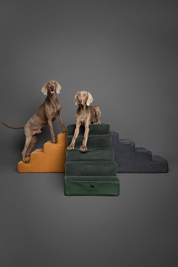 Noah & Paw Dog Stairs, Dog Ramp for Bed (20" Extra Wide) Pet Stairs for High Bed, Design to Fit Small and Large Breeds, Durable 5 Pet Steps for Couch (35 Foam Density) Leather Collection