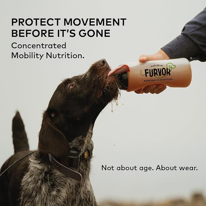 Furvor Beef Mobility Support Bone Broth Concentrate for Dogs - 12oz, 20 Servings