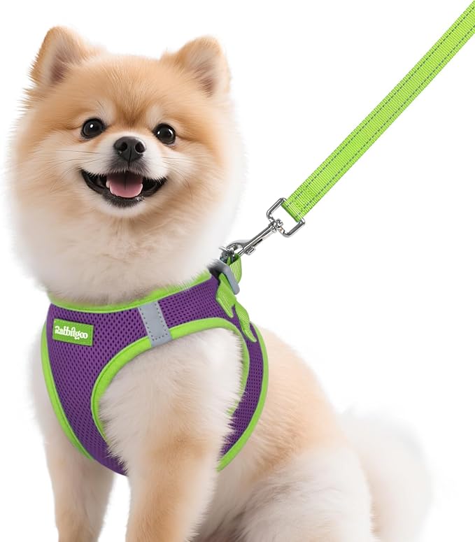 rabbitgoo Dog Harness Small Sized and Leash Set, Step in Soft Vest | Breathable Mesh, Easy Wear with Hook & Loop, Light and Reflective for Walking, Multi-colored, Purple & Green, M