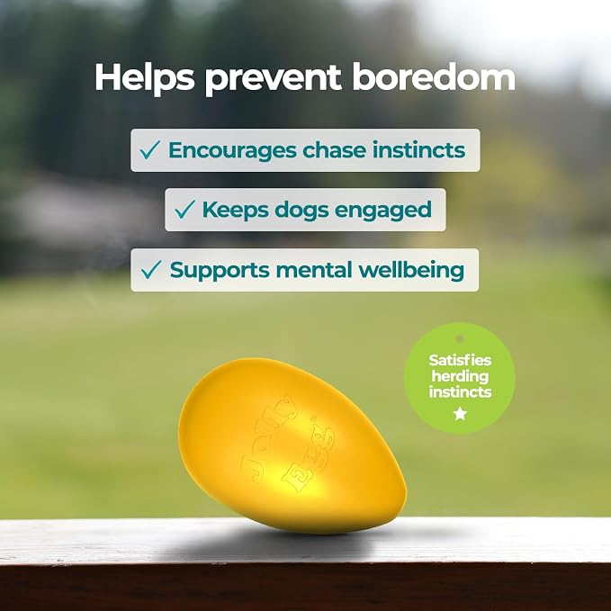 Jolly Pets Jolly Egg Herding Dog Toy, 8 in, Yellow - Erratic Roll | Egg-shaped herding ball for dogs that rolls unpredictably to trigger chase instincts, floats, and is made in the USA