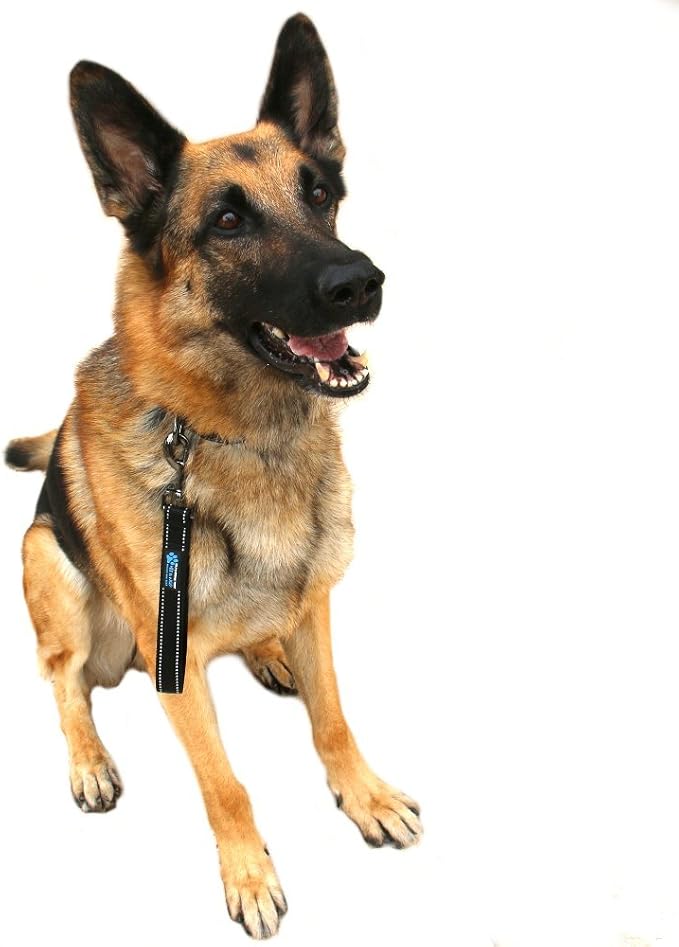 Max and Neo Short Traffic Leash 10" - We Donate One for One a Dog Rescue for Every Leash Sold (Teal)