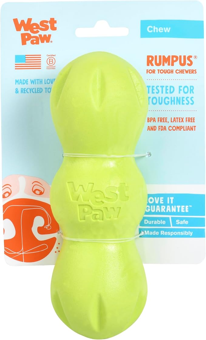 WEST PAW Zogoflex Rumpus Dog Chew Toy – Floatable Toy for Dogs, Aggressive Chewers – Puppy Chewing Toys for Catch, Fetch – Recyclable, Dishwasher-Safe, Medium 6.25", Granny Smith