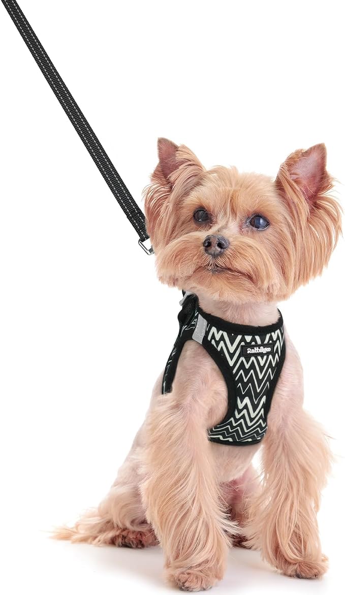 rabbitgoo Dog Harness Small Sized and Leash Set, Step-in Puppy Pet Vest | Light, Soft, Breathable Air Mesh, Easy on and Remove with Hook & Loop, Secure Reflective for Walking, Black Zigzag XXS