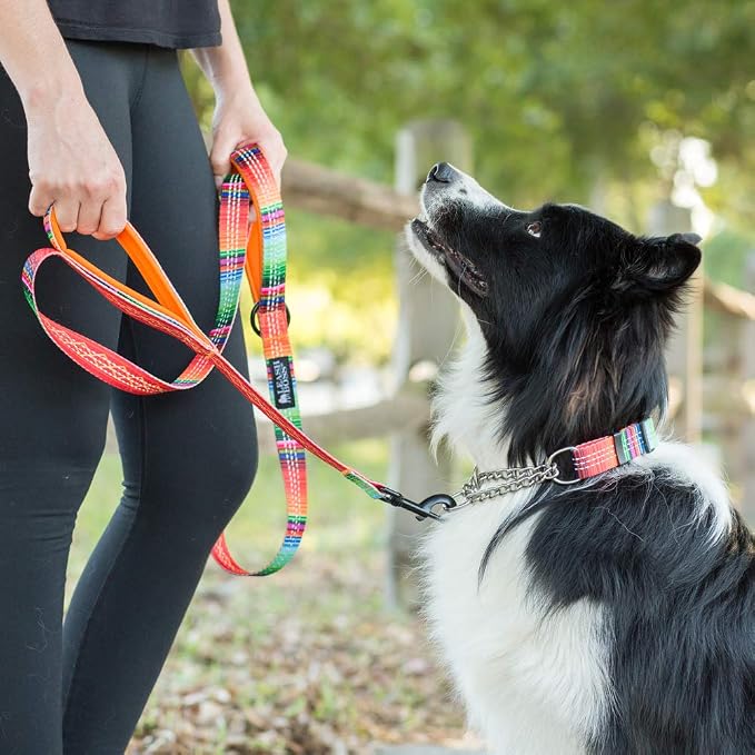 Leash Boss Chain Martingale Patterned Reflective Collar and 6 Ft Double Handle Leash with Padded Handles, Large Collar 19-24.5" Neck, Orange Blanket Pattern