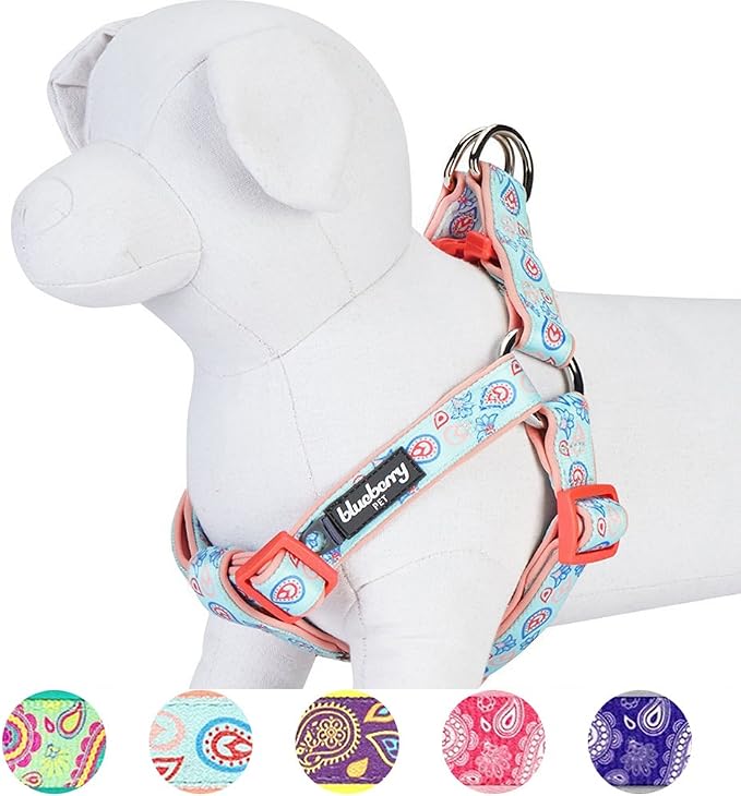 Blueberry Pet 5 Colors Soft & Comfy Step-in Paisley Flower Print Dog Harness, Chest Girth 16.5" - 21.5", Pastel Blue, Small, Adjustable Harnesses for Dogs