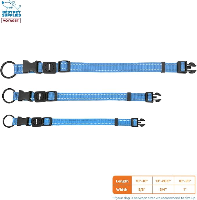 Best Pet Supplies Voyager Reflective Dog Leash or Collar with Neoprene Handle, for Small, Medium, and Large Breed Puppies, Cute and Heavy Duty for Walking, Running and Training - Baby Blue, L