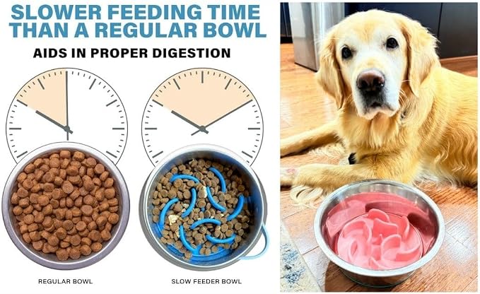 Blue Slow Feeder Travel Dog Bowl Set, 30oz Steel + 20oz Silicone