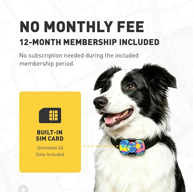4G GPS Dog Tracker, No Monthly Fee, Virtual Fence, Waterproof, 21D Battery | Real-Time GPS Tracking, 12-Month Membership Included, Activity & Sleep Monitor, Long Battery Life, iOS & Android Compatible