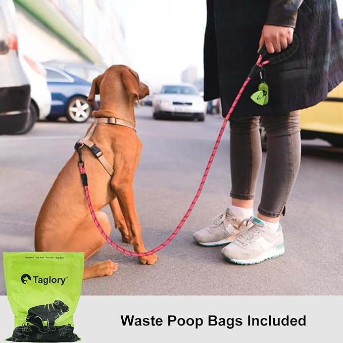 Taglory Rope Dog Leash for Small Medium Dogs, 4 FT Padded Handle, Pink | Made of Climbing Rope, Reflective for Night Walks and Training, Comfortable Grip, Anti-tangle Swivel Clip, 3/8 inch