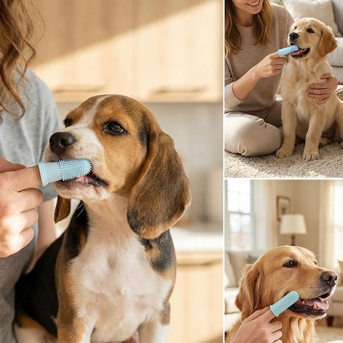 5-Pack with Cases Silicone Finger Toothbrush for Dogs and Cats, Soft Bristle Dental Brush, Three Different Models, Suitable for Various Types of Dogs and Cats