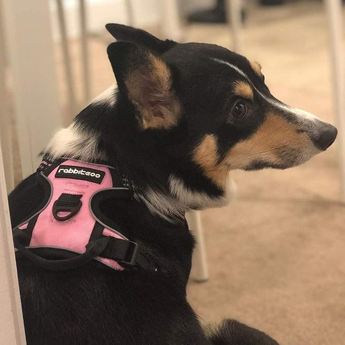 rabbitgoo Dog Harness, No Pull for Small Dogs with 2 Leash Clips, Pet Vest | No Choke with Handle, Adjustable Soft Padded, Reflective, Easy Control for Walking, Pink, Small