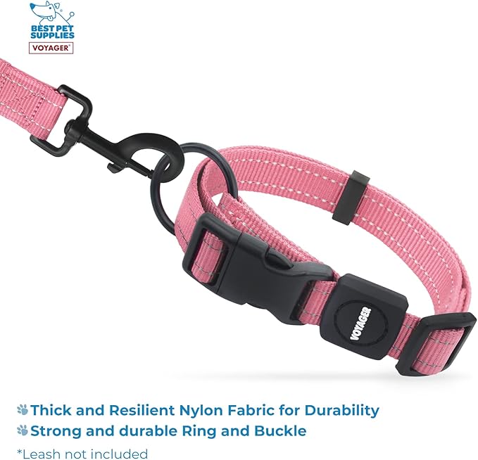 Best Pet Supplies Voyager Reflective Dog Leash or Collar with Neoprene Handle, for Small, Medium, and Large Breed Puppies, Cute and Heavy Duty for Walking, Running and Training - Pink, L