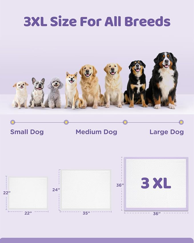 iweepet 36"x36" 4XL Lavender Scented Disposable Dog Pee Pads, 30 Count | Extra Large Puppy Training Pads with 6-Layer Super Absorbent Protection, Leakproof Puppy Pads for Large Dogs & Senior Pets