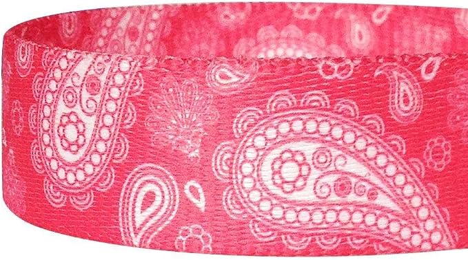 Blueberry Pet 5 Colors Paisley Flower Print Dog Leash with Soft & Comfortable Handle, 5 ft x 3/4", Pink, Medium, Leashes for Dogs